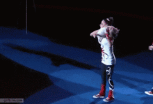 喵星人這配合厲害了！-頭條楓林網