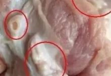 醫生都不吃的6種肉！ 千萬不能再吃了，吃的越多越容易致癌！-頭條楓林網