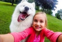 汪星人陪著小主人一起玩耍睡覺，甜甜的小天使！-頭條楓林網