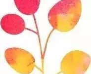 家居改造，陽台的浪漫，你到底要不要懂？-頭條楓林網