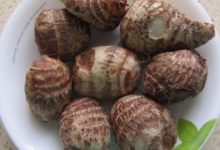 芋頭營養價值很高，可這3類人群，卻一口也不能多吃-頭條楓林網