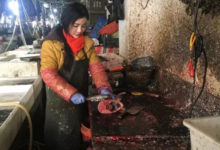 「殺魚妹」因為長得超漂亮而紅遍網路，名氣直飆！不但氣質非凡，還有一雙「殺魚妙手」！-頭條楓林網