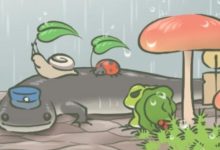 好奇蛙寶每次默默出門旅行都去哪？這些地方真有！-頭條楓林網