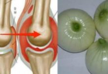 蔬菜皇後：它是「萬靈丹」，補骨髓比鈣快十倍！ 更可預防膽固醇、糖尿病、抗癌！-頭條楓林網