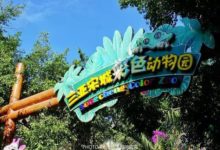 三亞彩色動物園裡卧虎藏龍，一隻「貓咪」竟然價值六萬美元-頭條楓林網