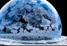 美哭了的泡沫-頭條楓林網