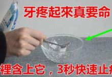 牙疼起來真要命，嘴裡含上它，3秒快速止痛，不知道就可惜了！-頭條楓林網