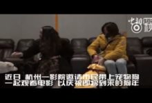 為慶祝狗年，這家電影院可以帶著狗狗去了，這場面簡直不要太嗨！-頭條楓林網