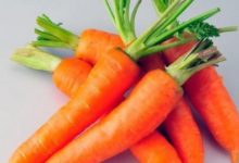 13種公認可以抗癌的食物 你常吃嗎-頭條楓林網