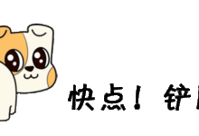 這隻柴犬大概是戲最多的！旁邊那隻就像看傻子一樣看它-頭條楓林網