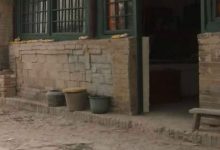 狗是人類最忠誠的朋友，你用一顆真心對他，他同樣會真心付出-頭條楓林網