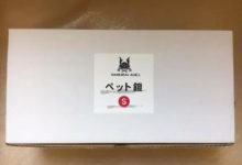 給家裡貓咪買了副鎧甲，穿上有點厲害！-頭條楓林網