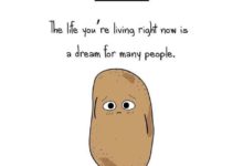 內心有點小黑暗的人，才看得懂的人生智慧-頭條楓林網