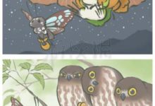 《旅行青蛙》稀有明信片圖集 全SSR稀有明信片圖鑑匯總大全-頭條楓林網