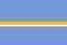 過年家裡千萬別買這幾種綠植！不但不吸甲醛還會放毒-頭條楓林網