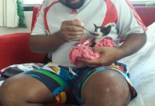 男朋友阻止養貓揚言敢養就分手，可網友提前下班後，到家看到這幕-頭條楓林網