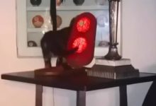 貓咪滑倒下意識抱住東西保命，一看抱住的玩意它徹底絕望了-頭條楓林網