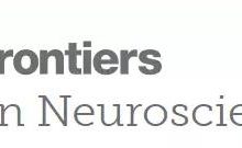 新版 CRISPR 技術有望根治亨廷頓舞蹈症-頭條楓林網