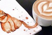 這樣的咖啡貓，才叫有趣-頭條楓林網