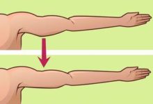 夏天就是要秀手臂！10種超簡單「三頭肌」訓練法，馬上向蝴蝶袖說再見！-頭條楓林網