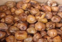 無論是男人還是女人，過了40歲，這2種東西就別吃了，醫生都不會告訴你。-頭條楓林網