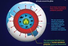 有人在尋找未知病毒：或能阻止下個全球性疫情-頭條楓林網