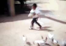 關鍵時刻還是貓主子最貼心，這點小事很輕鬆！-頭條楓林網