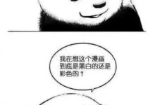 兩隻滾滾關於熊生的一些思考-頭條楓林網