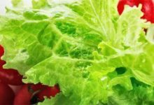 吃越多越瘦！八種超強的減肥食物-頭條楓林網