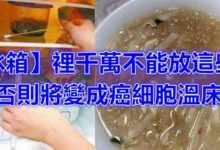 「冰箱」裡千萬不能放這些！ 否則將變成癌細胞溫床！ 尤其是第三項，幾乎人人每天都在做！-頭條楓林網