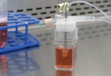 一滴血“種”出一顆“心” 為新藥做測試-頭條楓林網