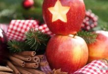 4種狗狗可以吃和不能吃的水果，統統都在這裡了！-頭條楓林網