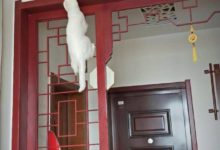 一寵主家的貓咪每天閑不住，回家後看到貓咪位置，笑的我喘不過氣-頭條楓林網