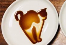 當裝滿醬油時，創新盤子展示可愛貓咪的圖像-頭條楓林網