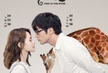 動物系戀人啊什麼時候播出 動物系戀人啊每週更新幾集-頭條楓林網