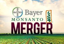 一場“魔鬼聯姻”：歐盟終放行拜耳收購孟山都案，全球農化新巨獸出閘-頭條楓林網