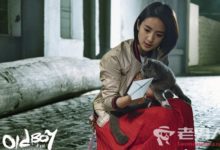 老男孩第29集劇情介紹 丁芳茹和林小歐道歉-頭條楓林網