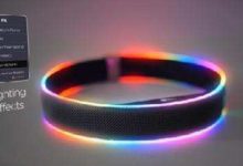 狗狗項圈幫你選-頭條楓林網