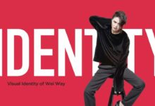 厲害了！譚維維推出了個人形象識別系統-頭條楓林網