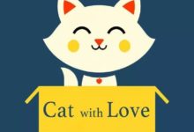 妹紙假裝難過哭起來，喵主子的反應比男盆友還暖！-頭條楓林網