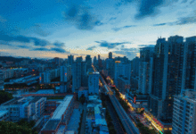 速看！進入4月，石家莊這些東西全部免費！不知道你就虧大了！-頭條楓林網