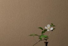 他喜歡用一些古老、質樸、布滿歷史痕迹的器皿當做花器-頭條楓林網