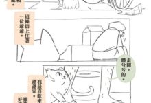 這是個關於一隻流浪貓阿肥的日常故事-頭條楓林網