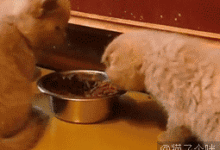 所以說跳起來那兩下是給自己打氣嗎？-頭條楓林網