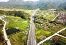 金華第一！東陽這項工作向全市人民交出了一份滿意的答卷！-頭條楓林網