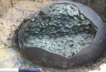 自己院里開荒發現不菲的寶物，這運氣也是沒誰了！-頭條楓林網