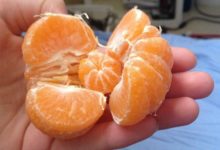 吃食物中樂透，讓你爽到不行的生活驚喜-頭條楓林網