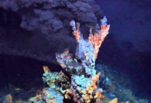 科學家創造了新的生命形式，試圖瞭解所有生物的共同祖先-頭條楓林網