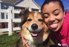 狗子和鏟屎官神同步，連舌頭都一樣長不信你來量……-頭條楓林網