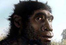 有人說中國人的祖先是一個非洲人，這簡直是笑話-頭條楓林網